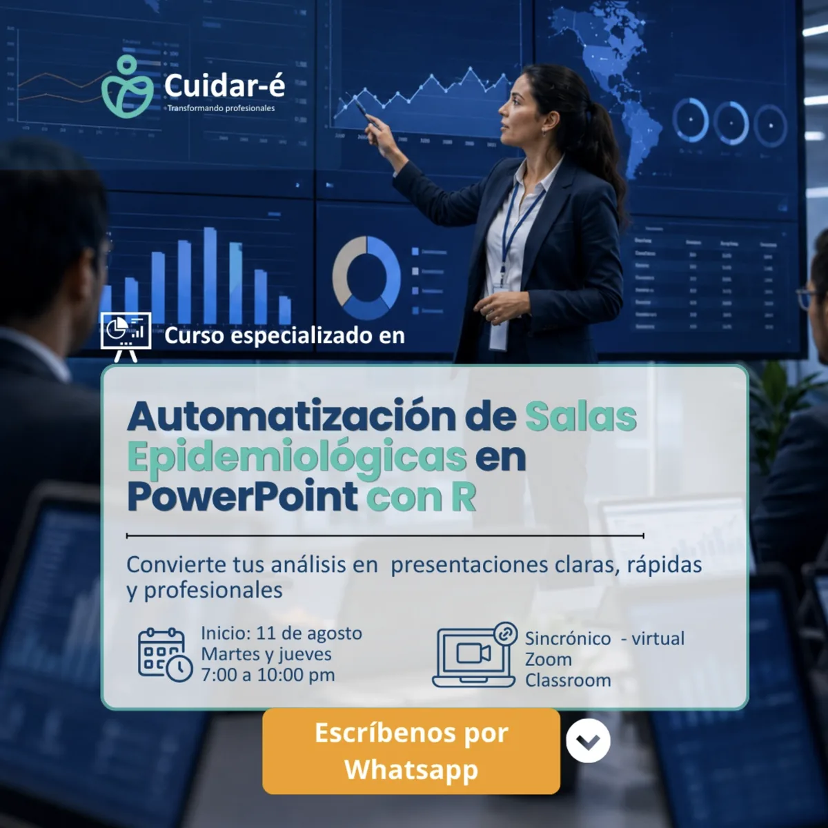 Material gráfico del curso de automatización de salas epidemiológicas con R